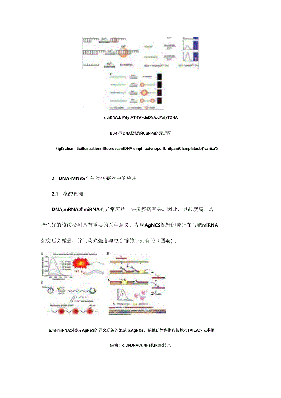 DNA模板荧光金属纳米团簇的合成及应用.docx_第3页