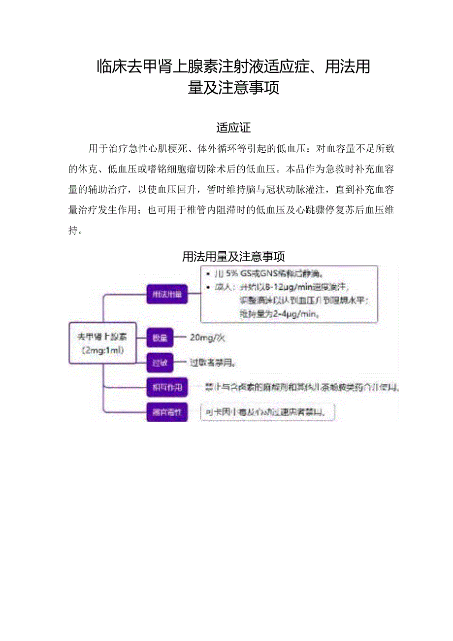 临床去甲肾上腺素注射液 适应症、用法用量及注意事项.docx_第1页