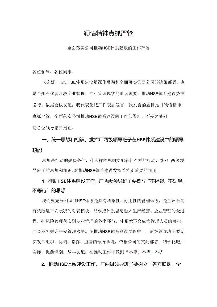 HSE体系建设汇报.docx_第1页