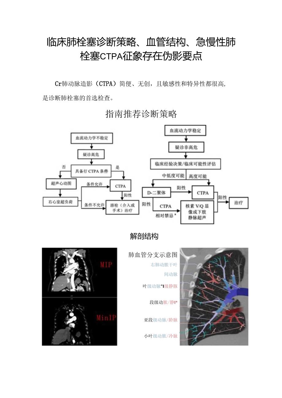 临床肺栓塞诊断策略、血管结构、急慢性肺栓塞CTPA征象存在伪影要点.docx_第1页