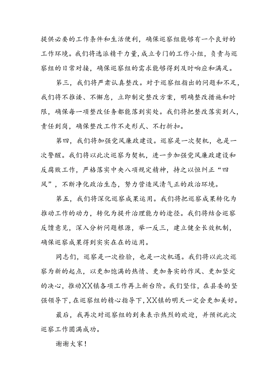 县级巡察表态发言.docx_第2页