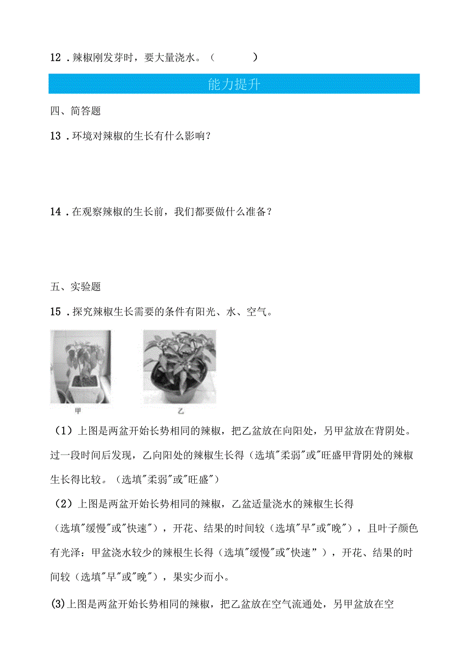 第13课 种辣椒 同步分层作业 科学四年级下册（青岛版）.docx_第2页