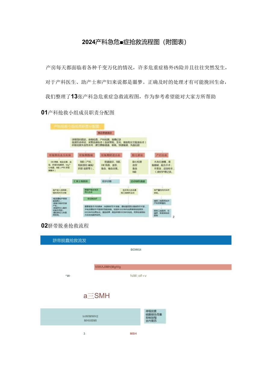 2024产科急危重症抢救流程图（附图表）.docx_第1页