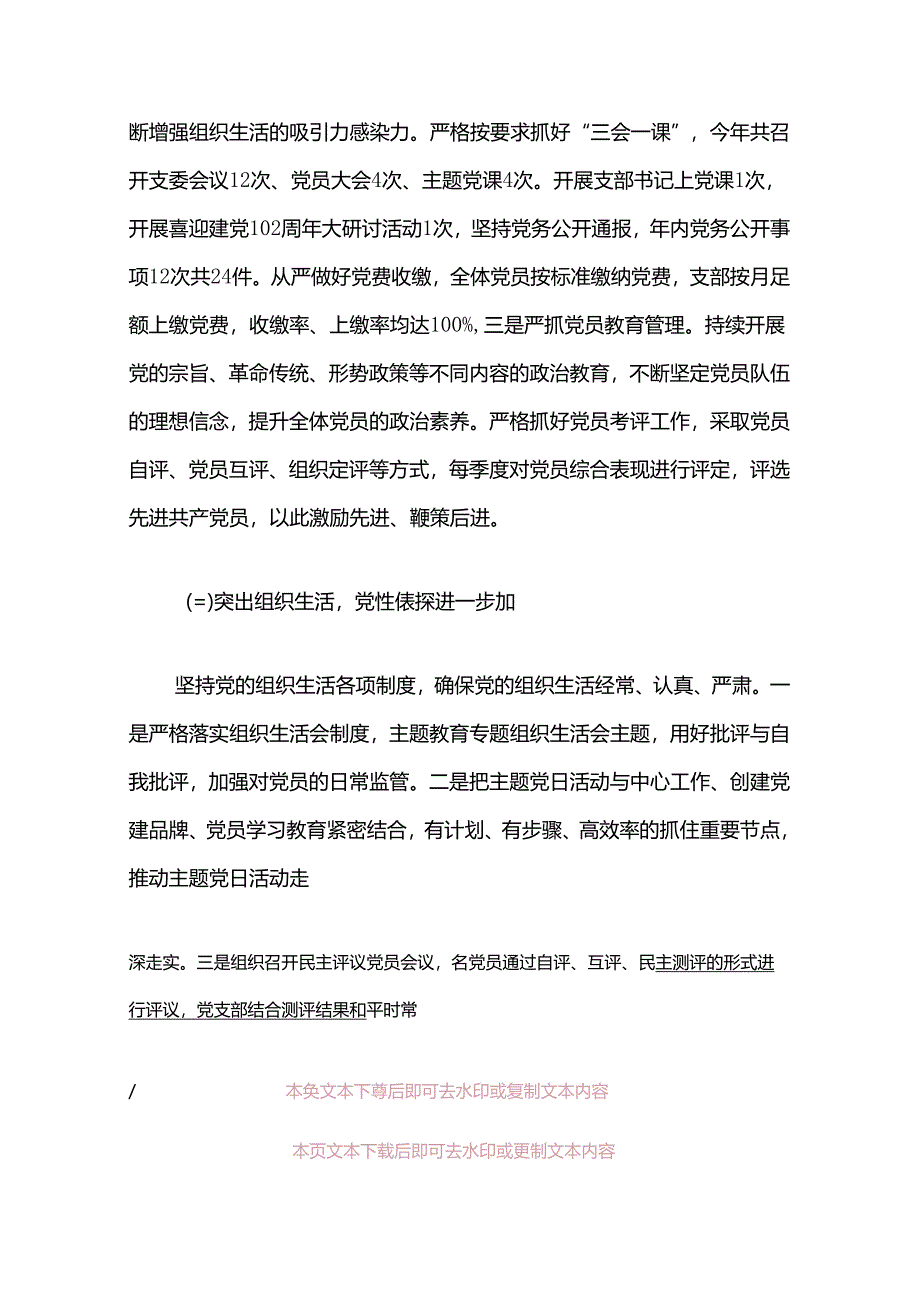 2024党支部党建工作总结及计划.docx_第3页