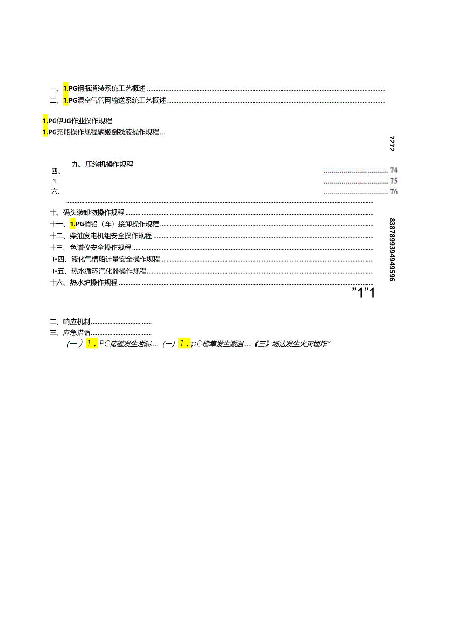 某集团LPG安全运营管理标准概述.docx_第3页