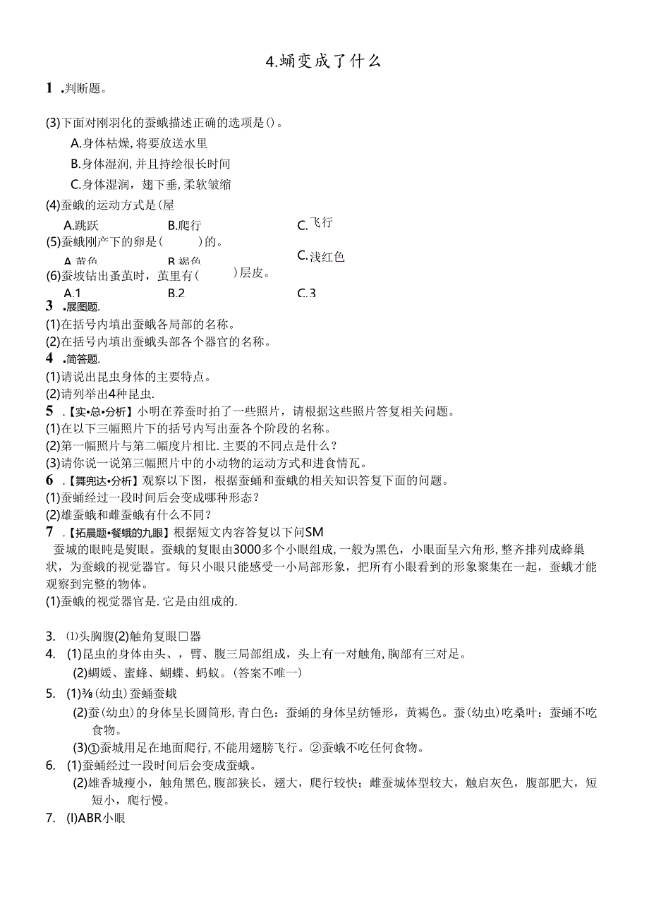 三年级下册科学同步练习2.4蛹变成了什么∣教科版.docx_第1页