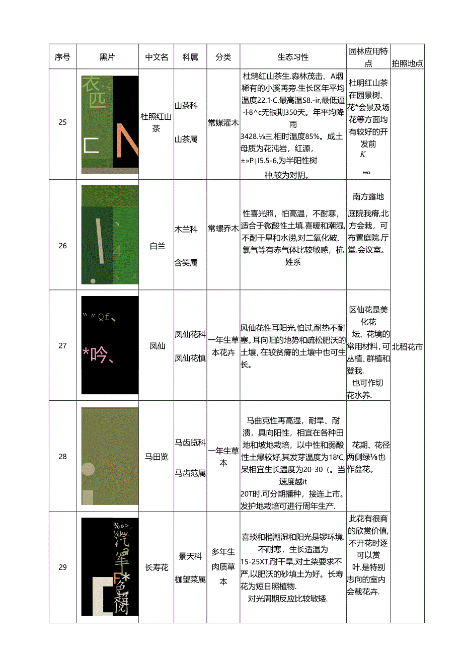 60种花卉生长习性及用途.docx_第2页