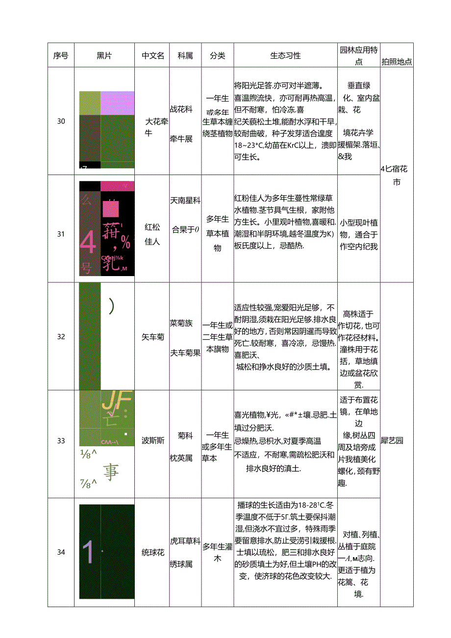 60种花卉生长习性及用途.docx_第3页