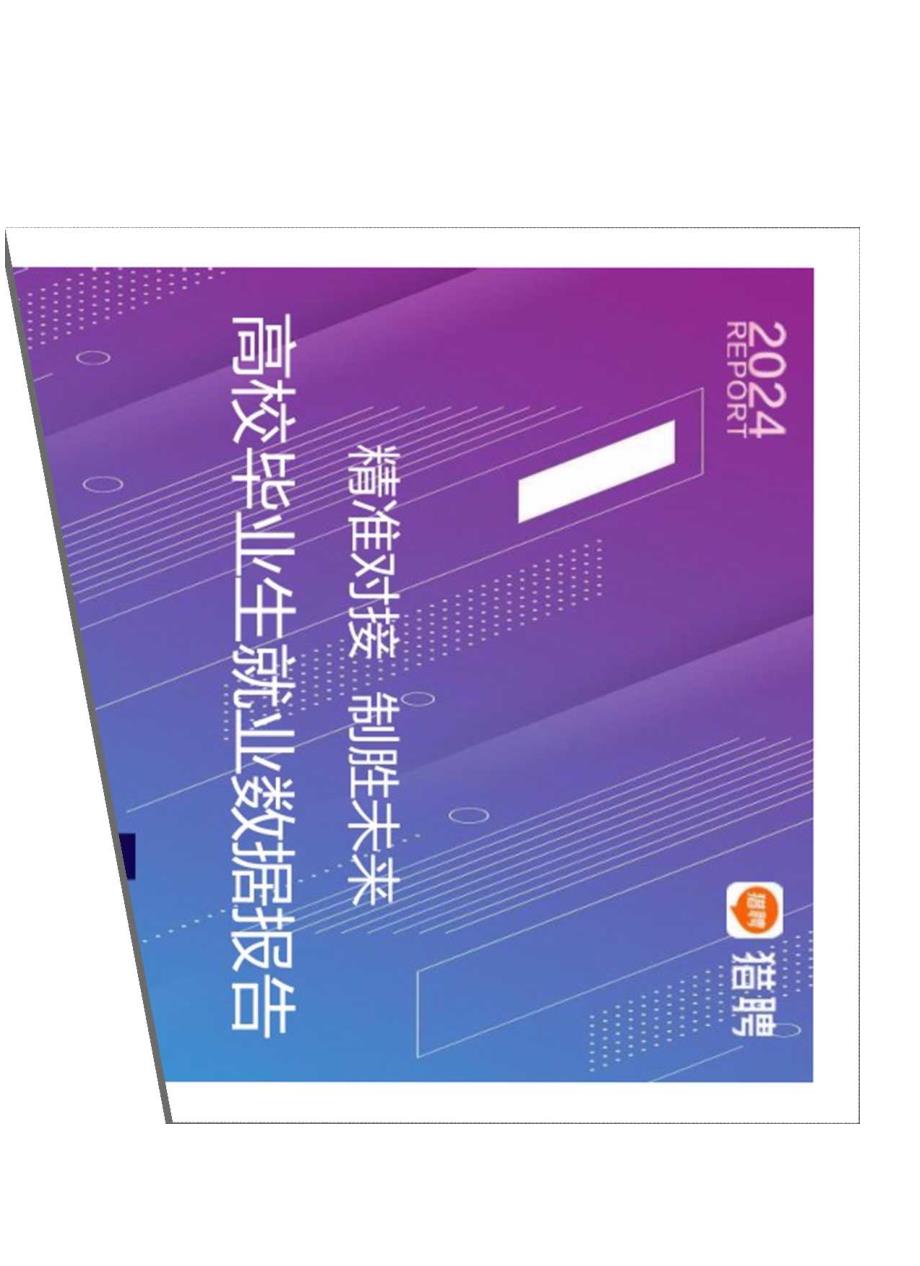 2024高校毕业生就业数据报告.docx_第2页