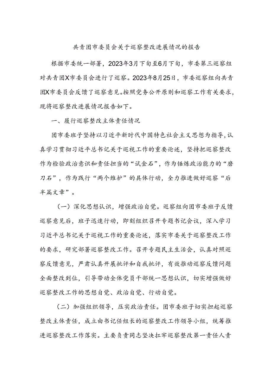 共青团市委员会关于巡察整改进展情况的报告.docx_第1页