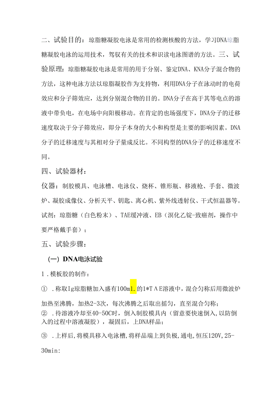 DNA电泳实验报告杨家庆.docx_第2页