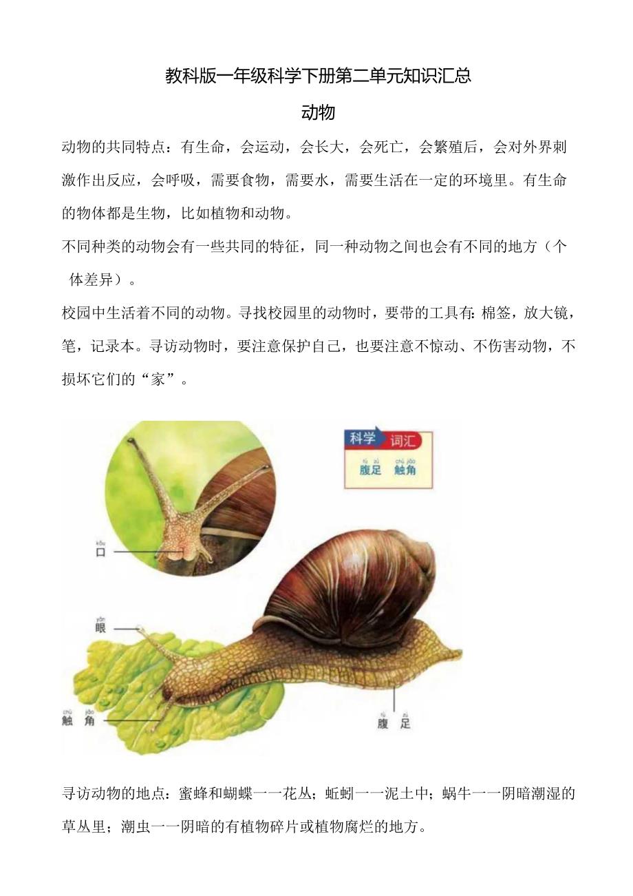 教科版一年级科学下册第二单元知识汇总.docx_第1页