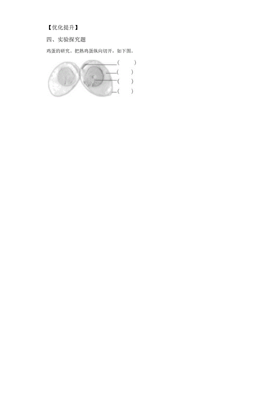 教科版科学三年级下册2-2认识其他动物的卵同步分层作业.docx_第3页