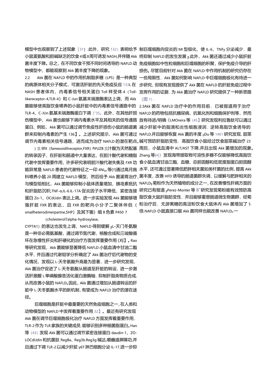 嗜黏蛋白阿克曼菌在非酒精性脂肪性肝病中的作用.docx_第3页