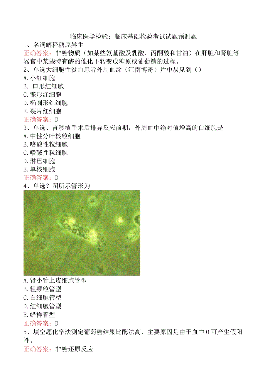 临床医学检验：临床基础检验考试试题预测题.docx_第1页