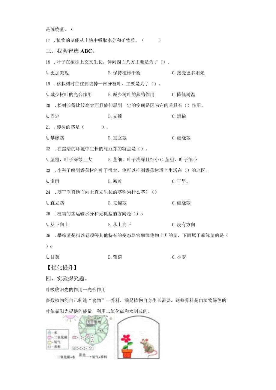 教科版科学四年级下册1-4茎和叶练习卷.docx_第2页