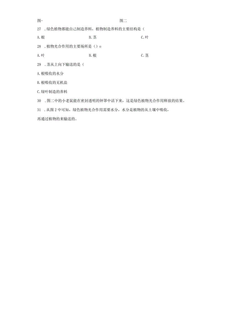 教科版科学四年级下册1-4茎和叶练习卷.docx_第3页