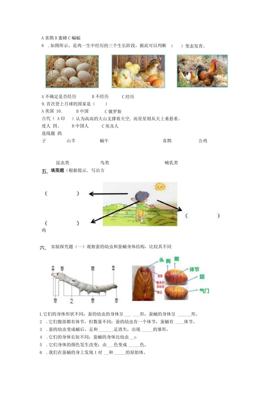 教科版三年级科学下册期末测试卷【含答案】.docx_第3页