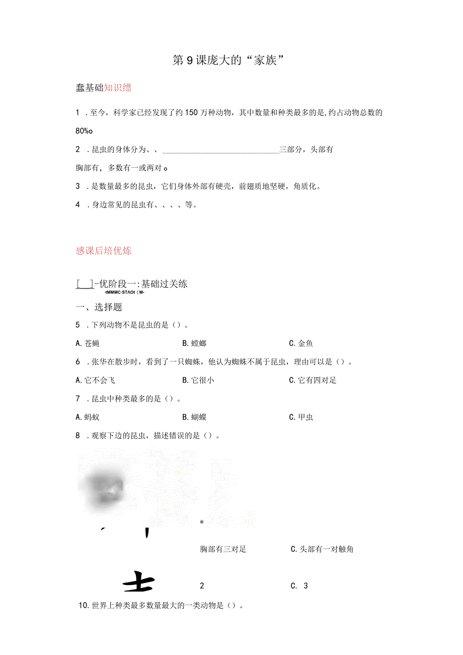 苏教版科学四年级下册9庞大的“家族”同步分层作业.docx_第1页