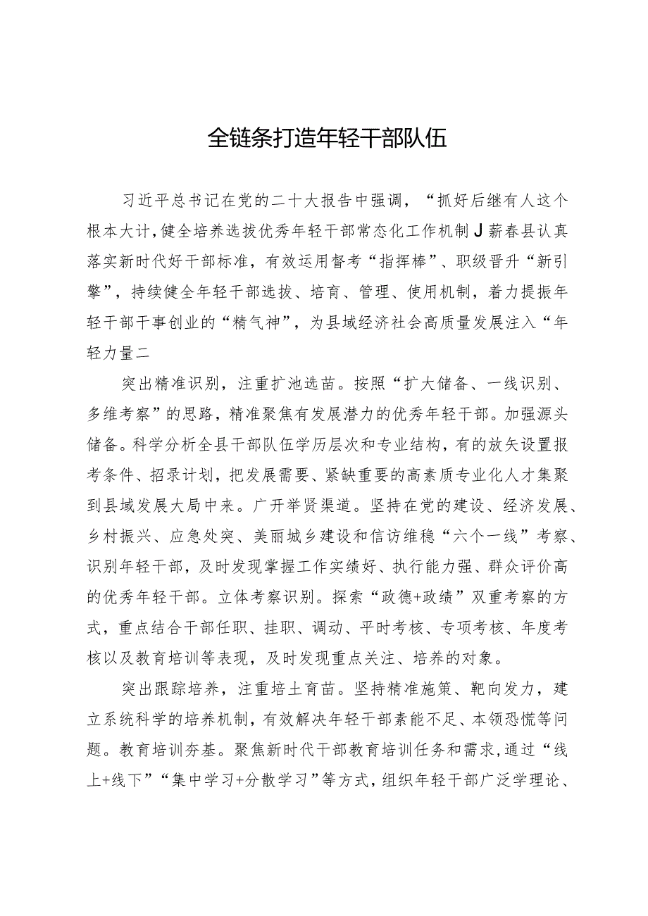 全链条打造年轻干部队伍.docx_第1页