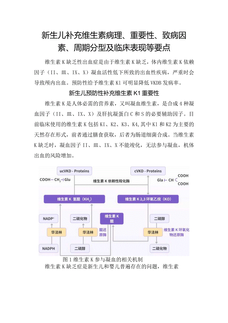 新生儿补充维生素病理、重要性、致病因素、周期分型及临床表现等要点.docx_第1页