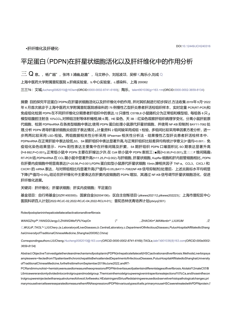 平足蛋白（PDPN）在肝星状细胞活化以及肝纤维化中的作用分析.docx_第1页