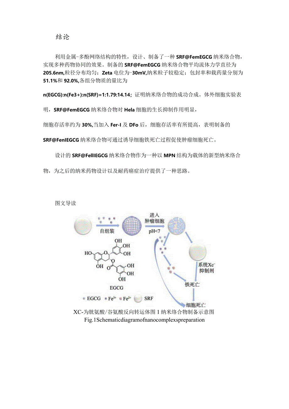 含铁离子纳米络合物的制备及其诱导肿瘤细胞铁死亡作用.docx_第2页