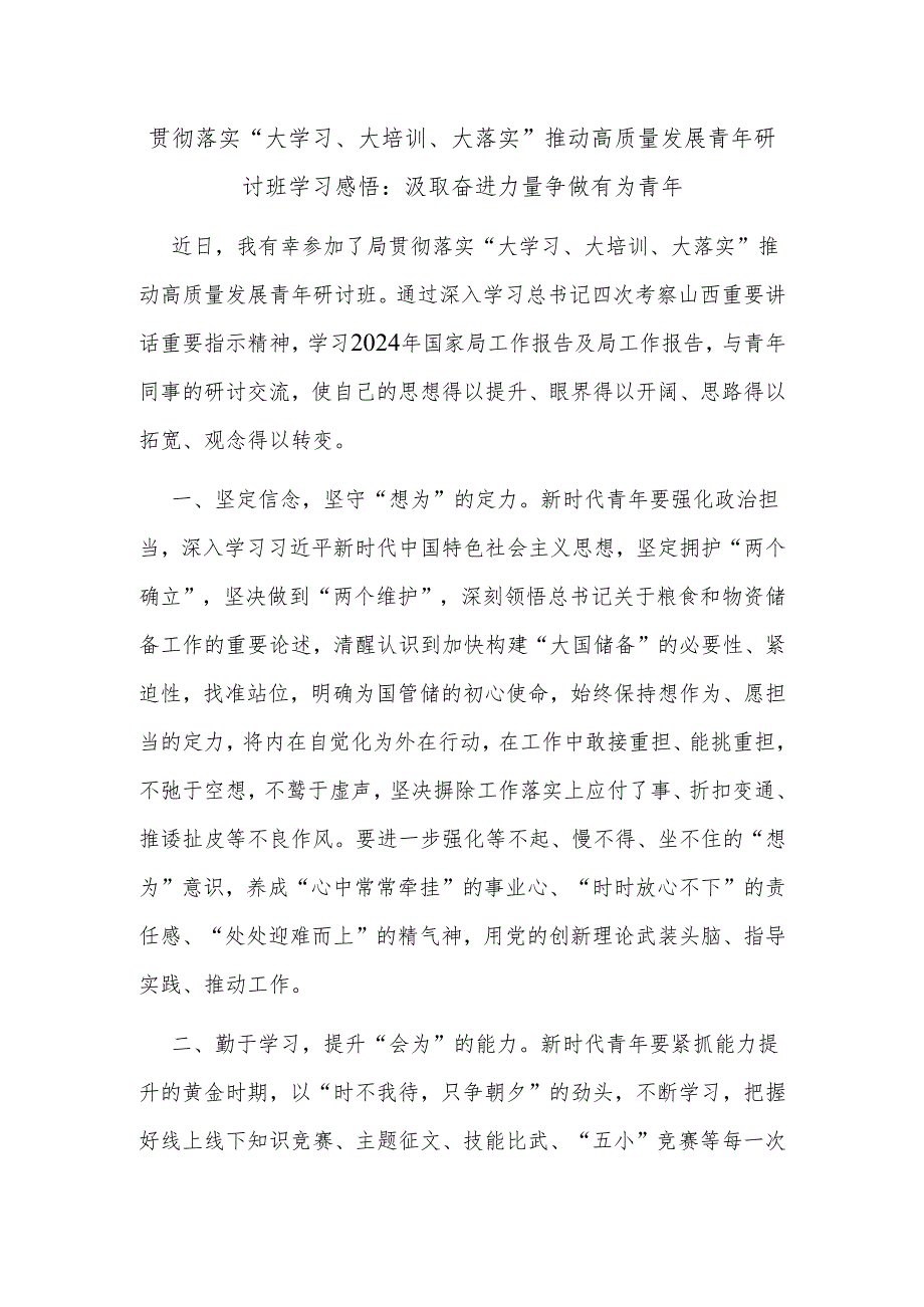 贯彻落实“大学习、大培训、大落实”推动高质量发展青年研讨班学习感悟：汲取奋进力量争做有为青年.docx_第1页