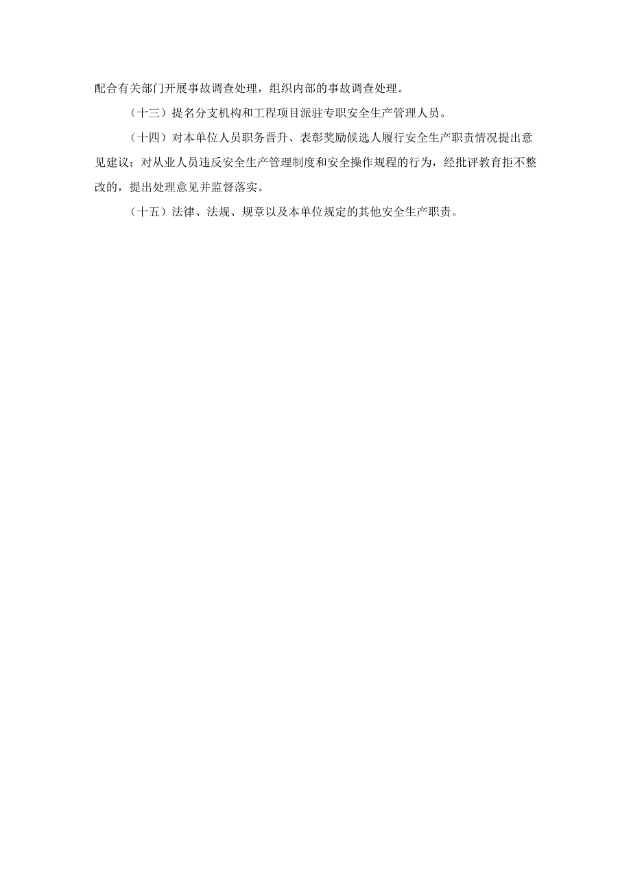 安全生产分管负责人（安全总监）安全生产责任清单【江苏省】.docx_第2页