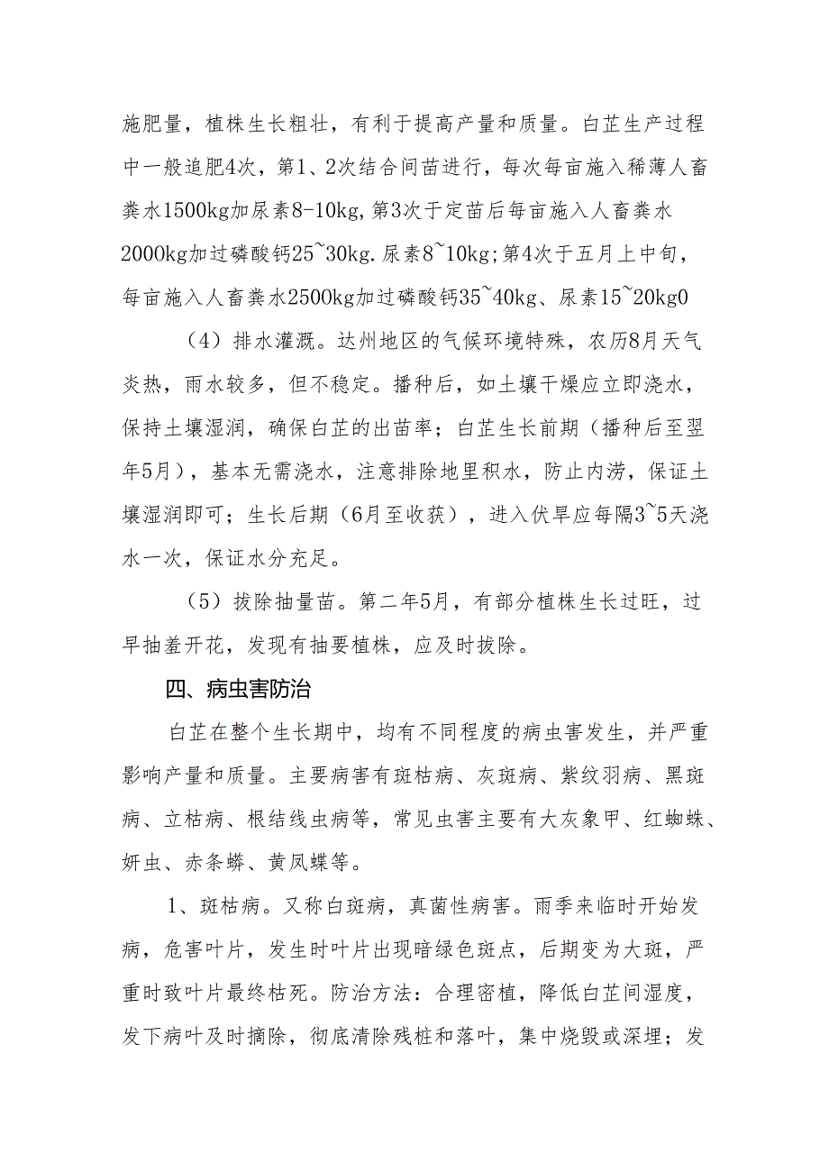 川白芷栽培技术.docx_第3页