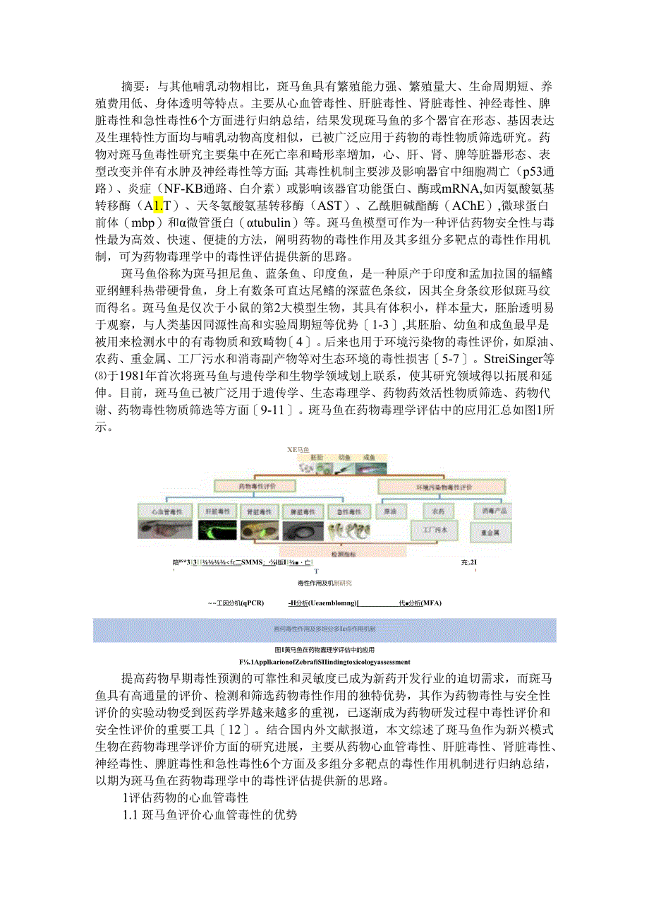 斑马鱼在药物毒理学评估中应用及机制的研究进展.docx_第1页