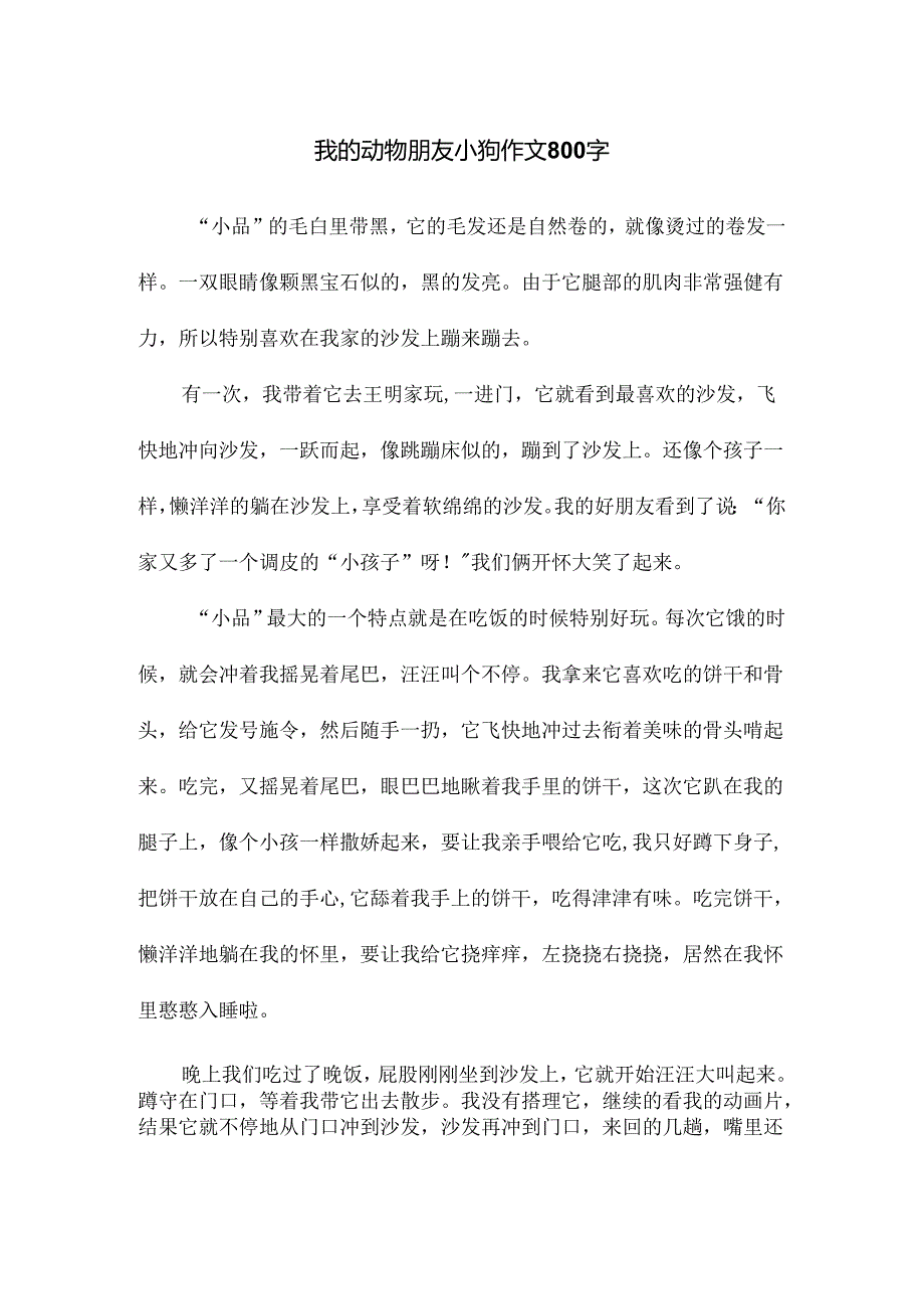 我的动物朋友小狗作文800字.docx_第1页