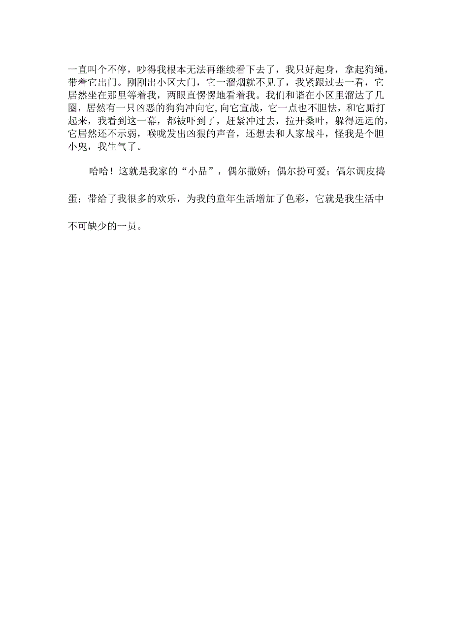 我的动物朋友小狗作文800字.docx_第2页