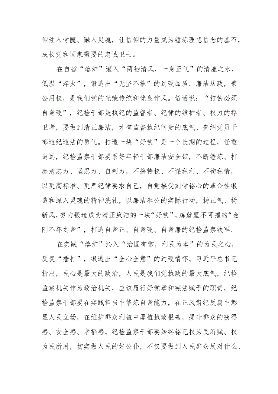 劳动监察大队党员干部学习党纪专题教育心得体会 （汇编4份）.docx_第2页