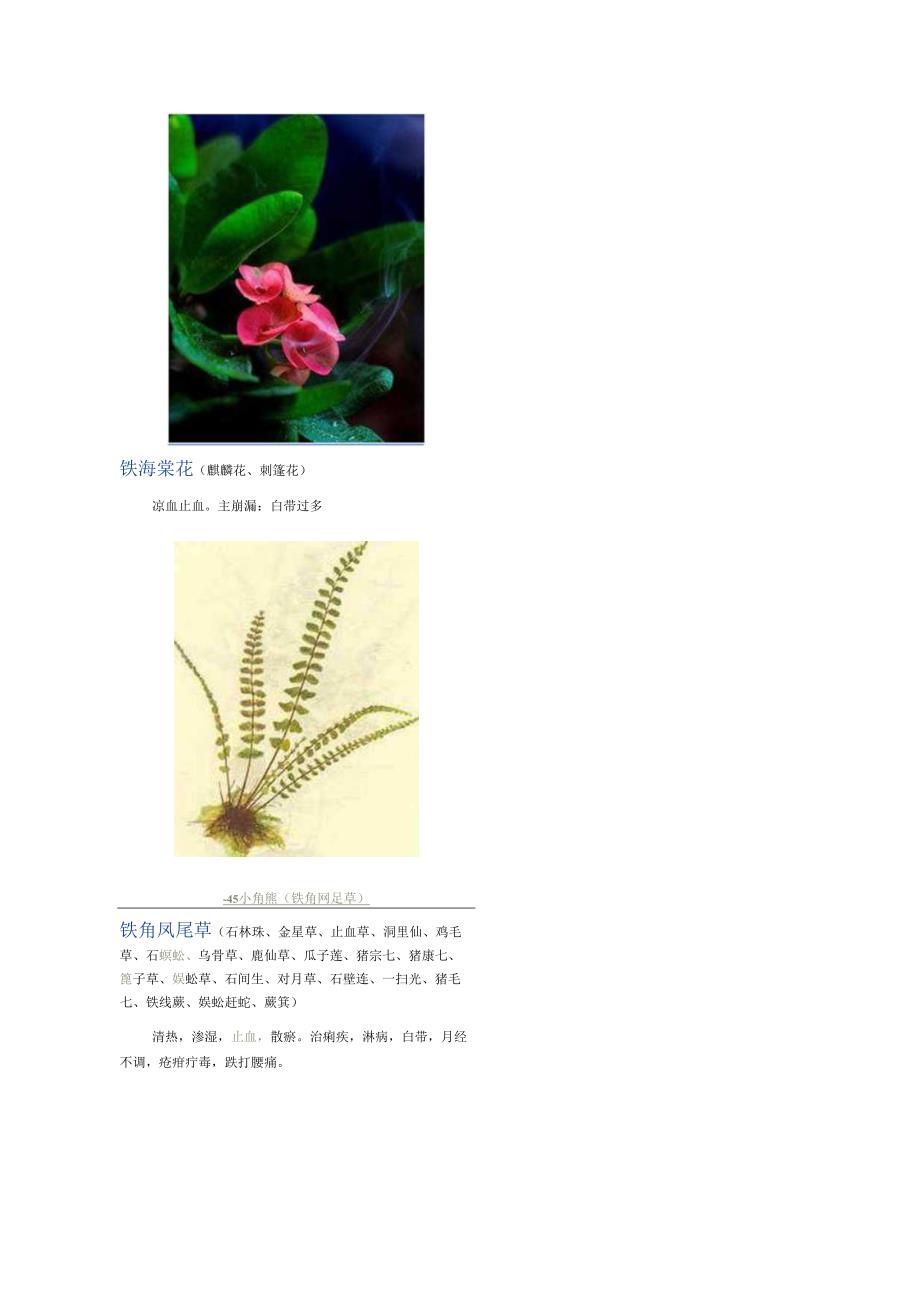 3000种中医药材第2201-2300种.docx_第1页