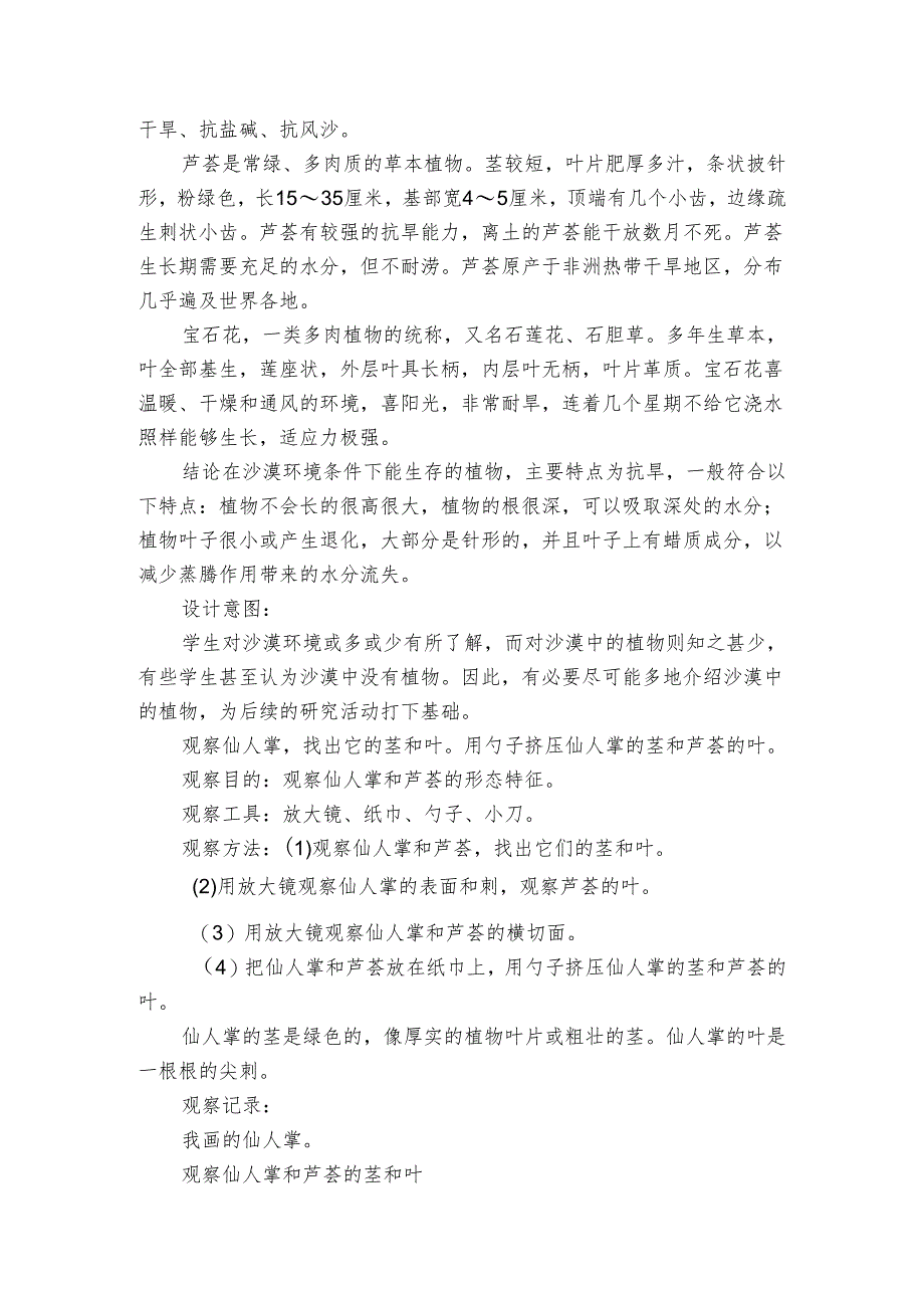 6 沙漠中的植物（苏教版）课件（36张）+公开课一等奖创新教案+素材.docx_第3页