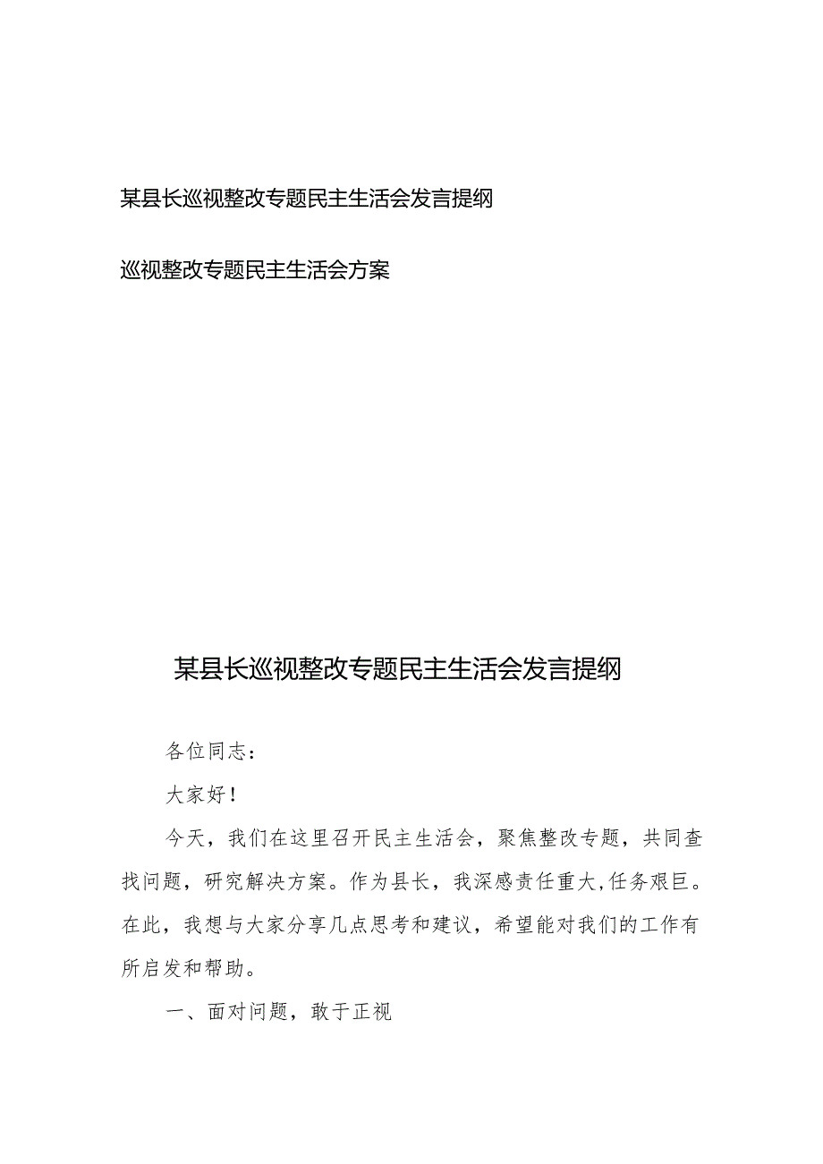 某县长巡视整改专题民主生活会发言提纲、巡视整改专题民主生活会方案.docx_第1页