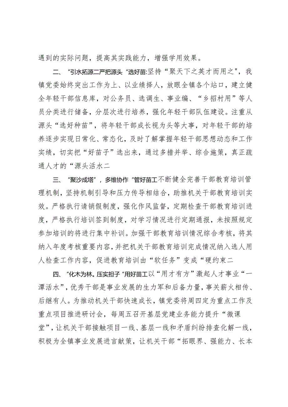 2024年镇党委书记在基层人才建设工作会议上的发言.docx_第2页