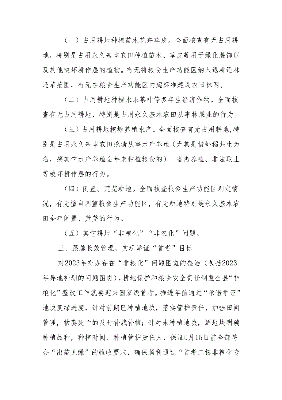 XX镇做好耕地用途管制涉及问题专项整治行动工作方案.docx_第2页