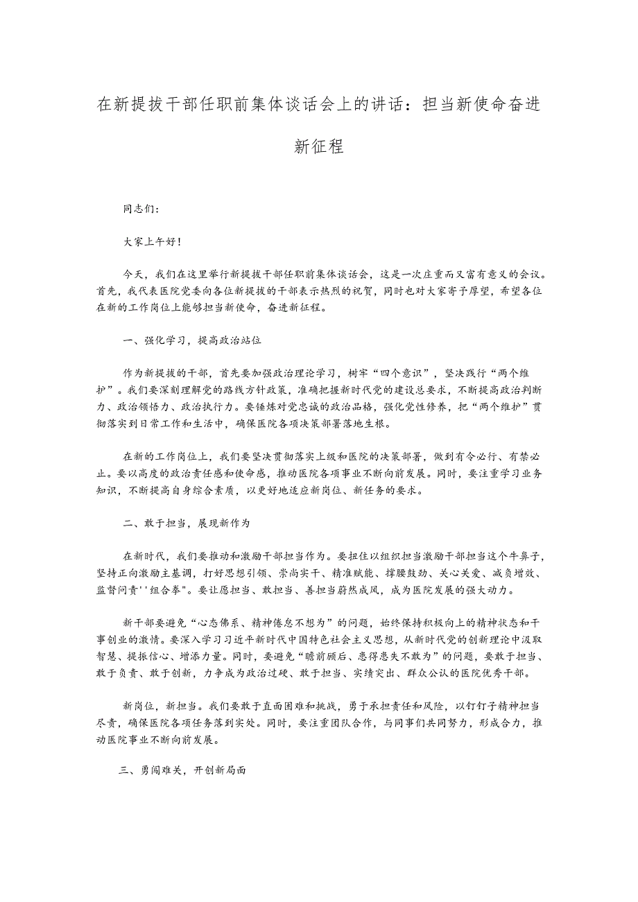 在新提拔干部任职前集体谈话会上的讲话：担当新使命奋进新征程.docx_第1页