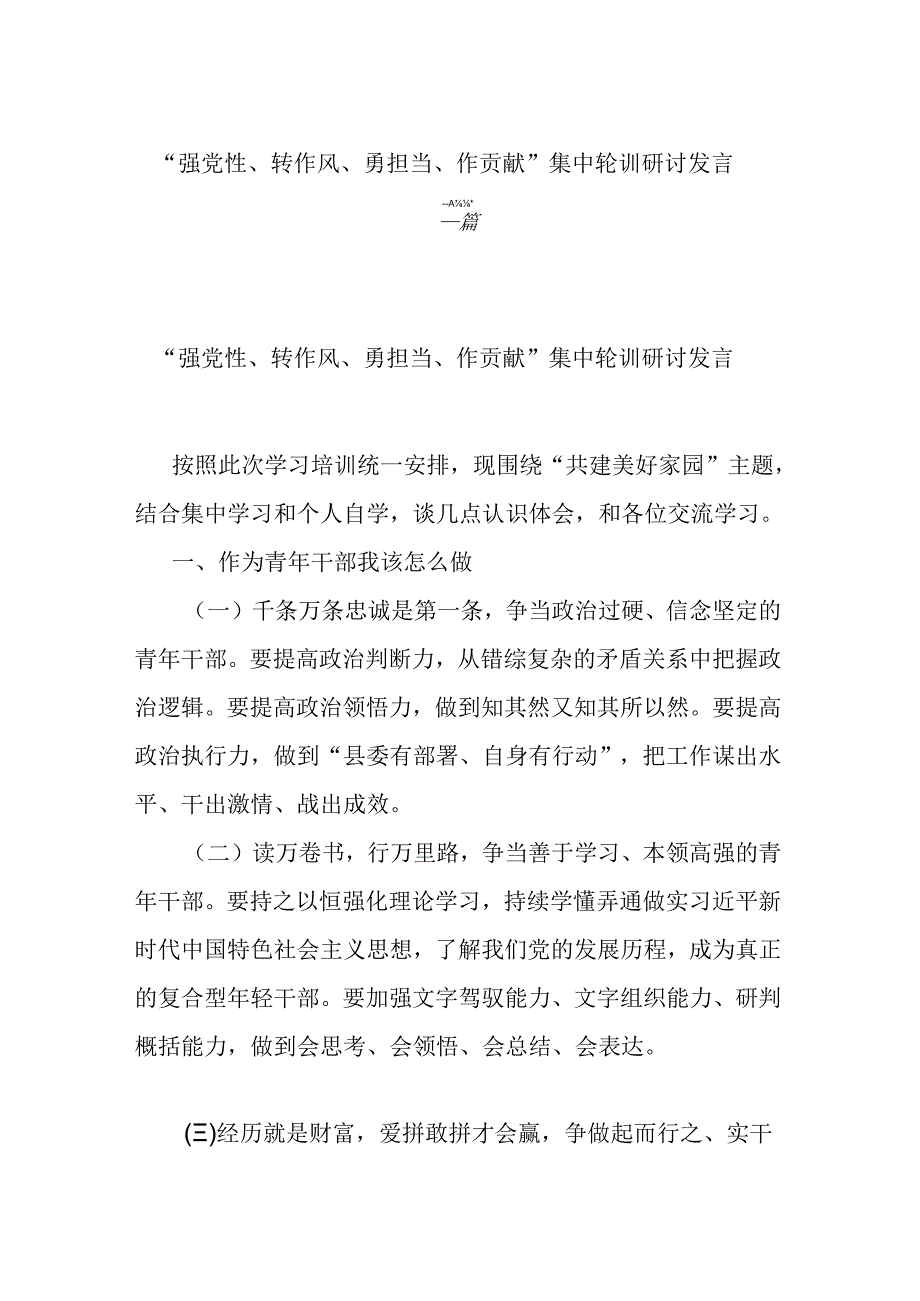 “强党性、转作风、勇担当、作贡献”集中轮训研讨发言二篇.docx_第1页