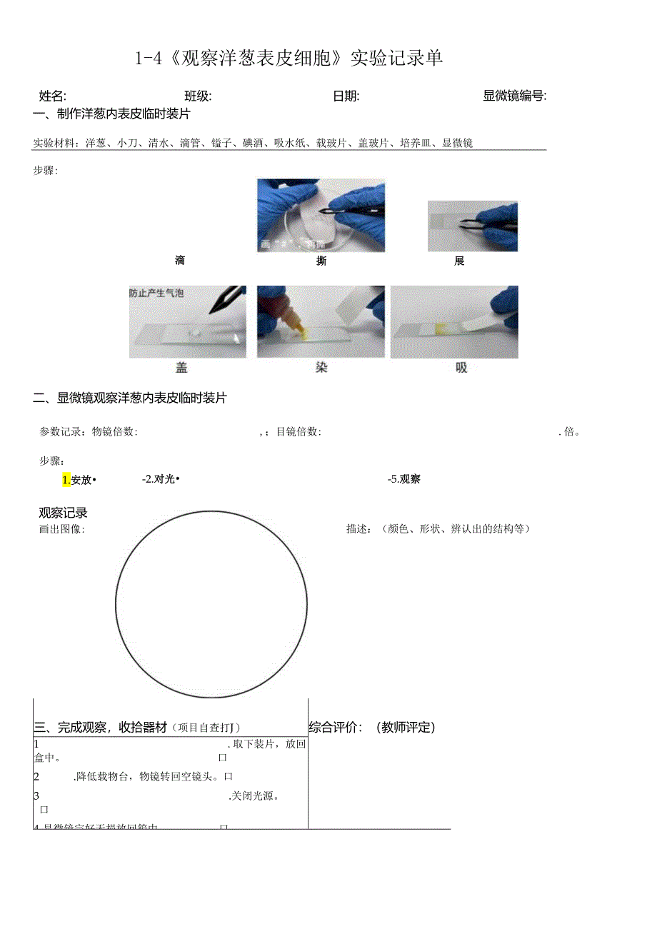 教科版六年级科学上册第一单元观察洋葱表皮细胞试验记录单.docx_第1页