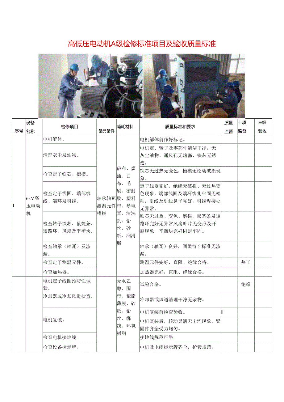 高低压电动机A级检修标准项目及验收质量标准.docx_第1页