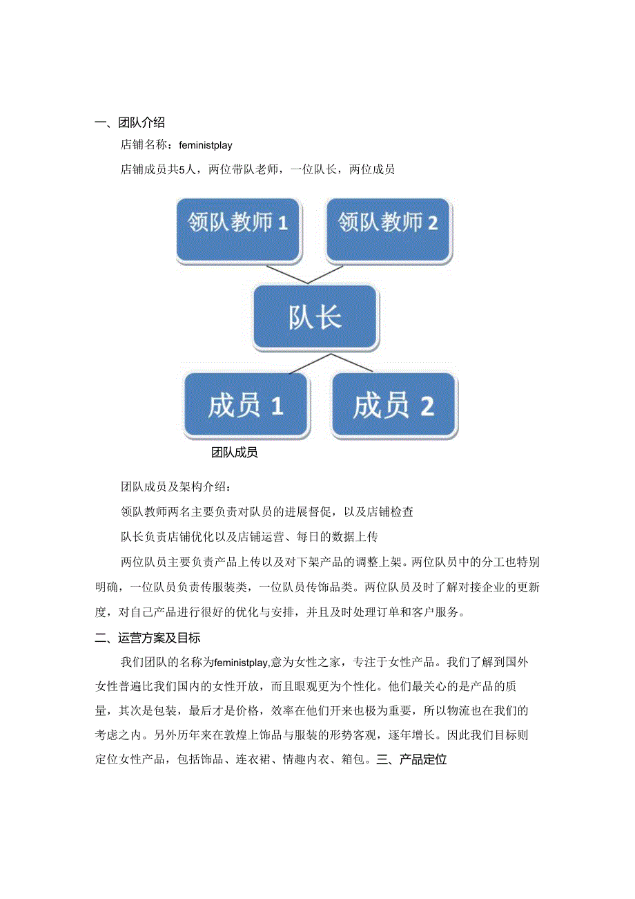 运营分析报告.docx_第2页