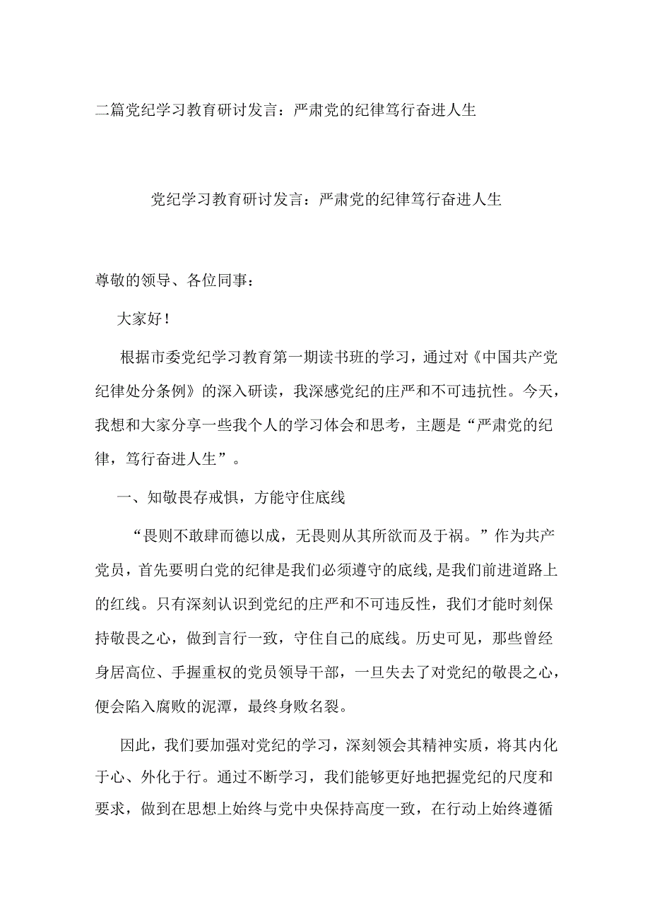 二篇党纪学习教育研讨发言：严肃党的纪律 笃行奋进人生.docx_第1页