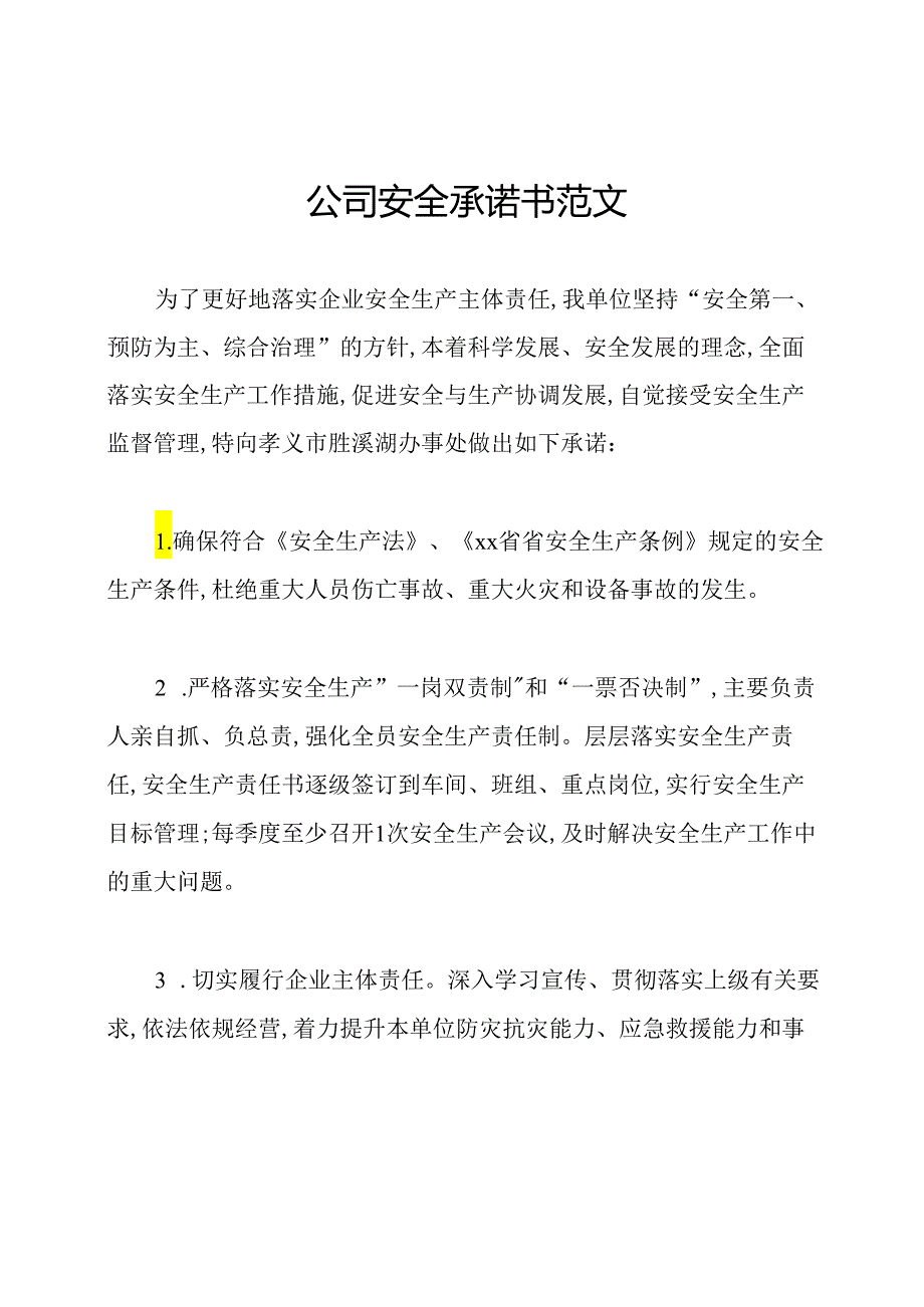 公司安全承诺书范文.docx_第1页