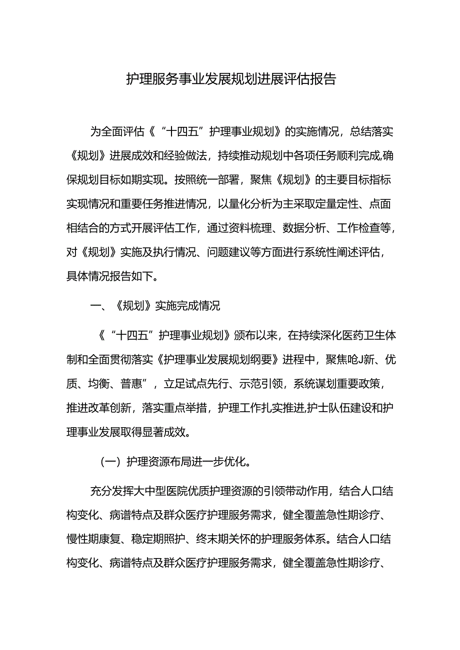 护理服务事业发展规划进展评估报告.docx_第1页