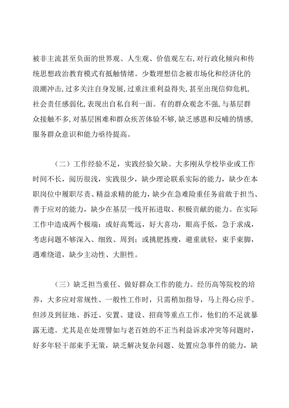 年轻干部队伍建设研究调研报告.docx_第3页