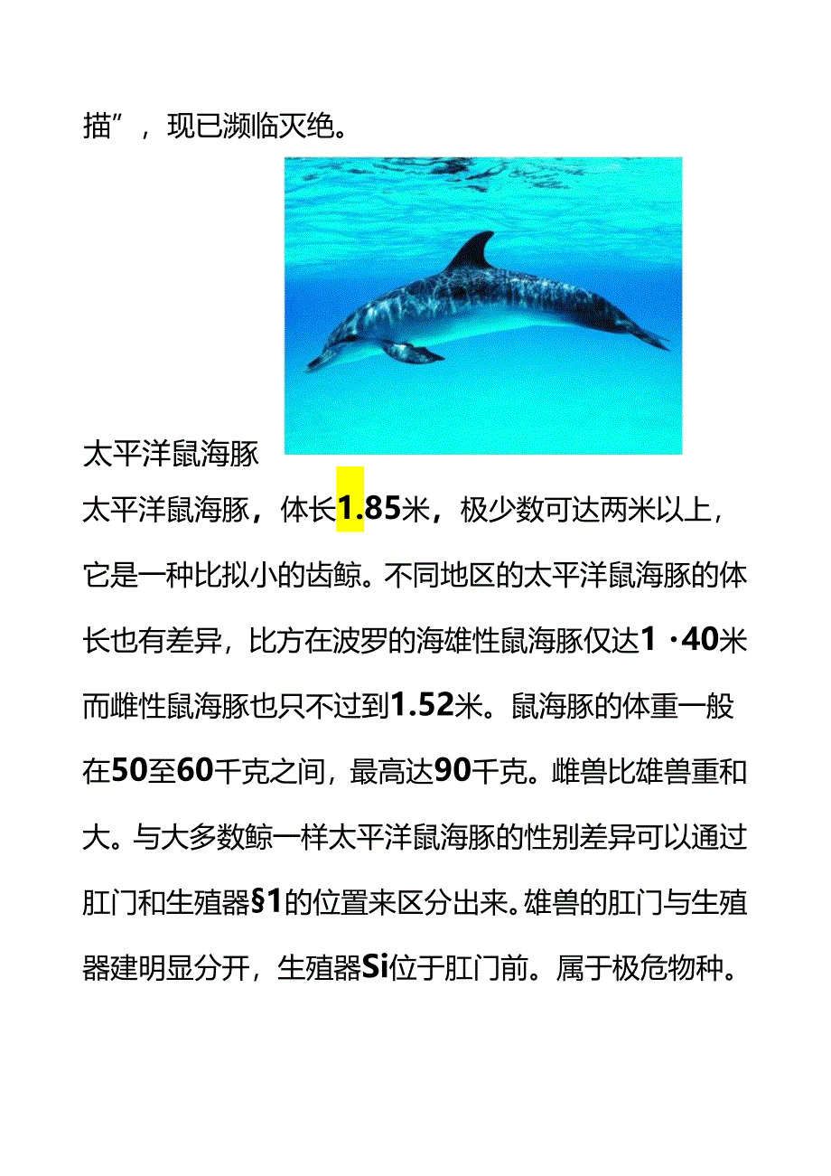 研究性学习报告-濒危海洋动物.docx_第2页