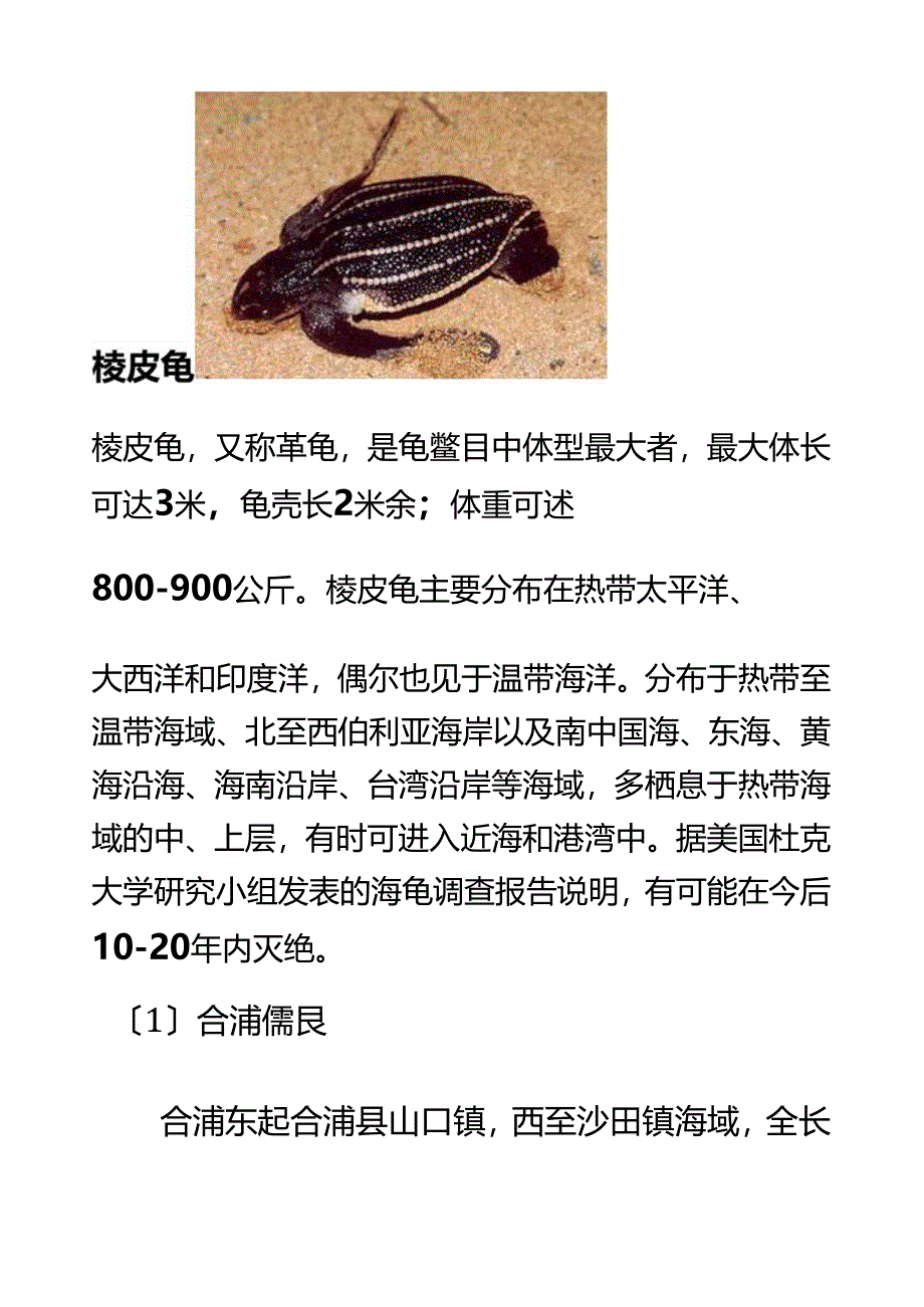 研究性学习报告-濒危海洋动物.docx_第3页